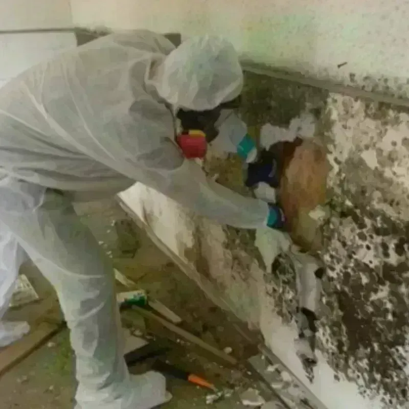 Mold Remediation and Removal in Keweenaw County, MI